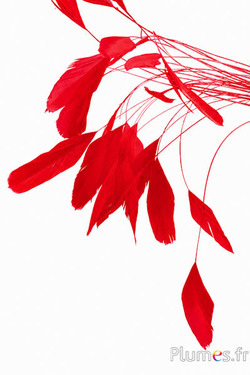 Coquetips - 13-18 cm - rosso